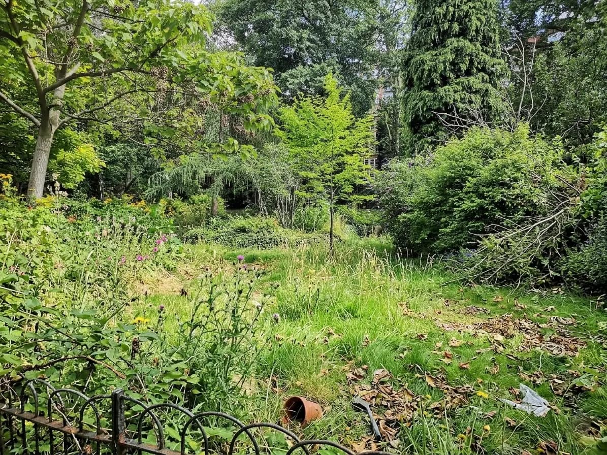 Le jardin après aménagement, planté et structuré