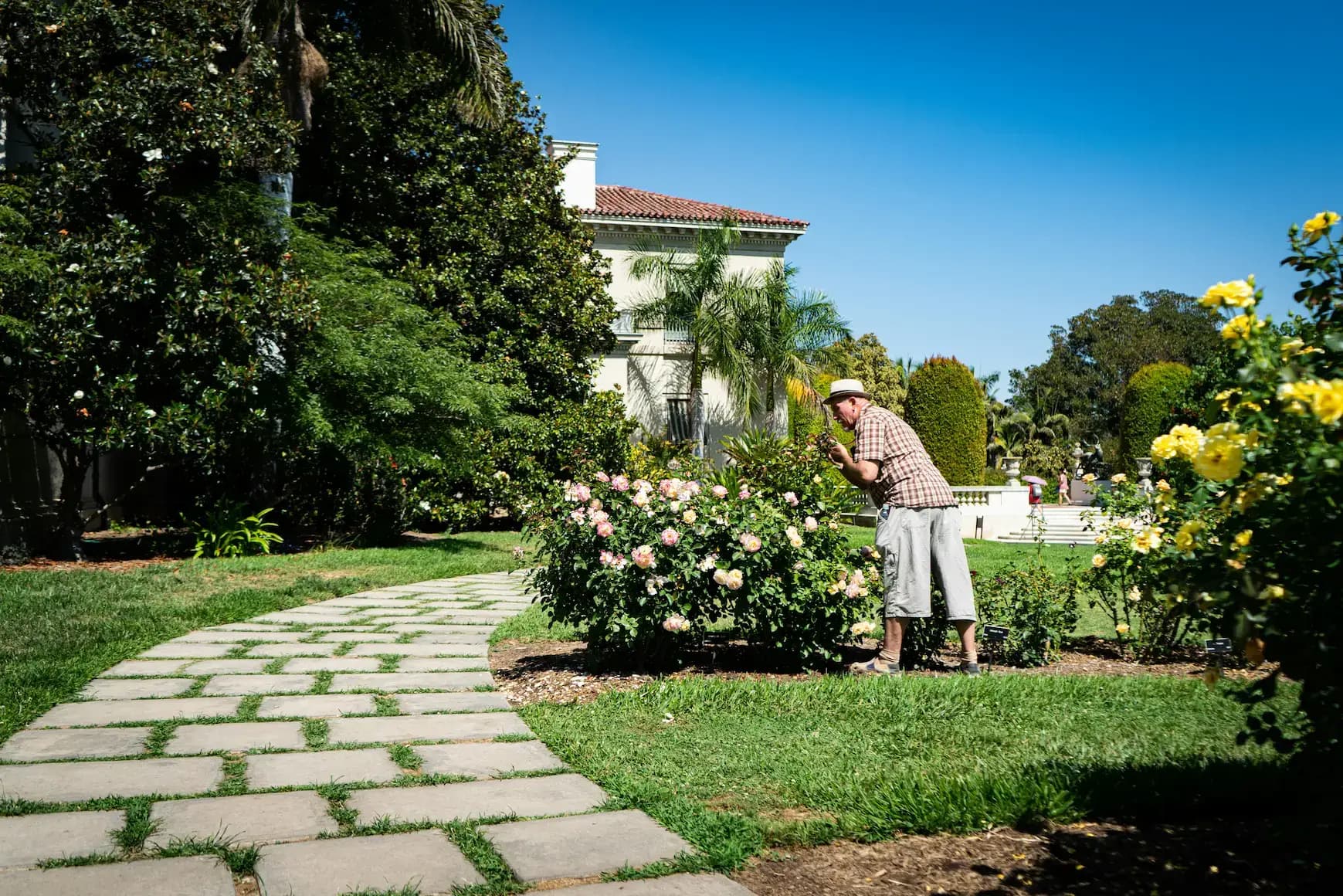 Terrasse et allée dans un jardin paysager