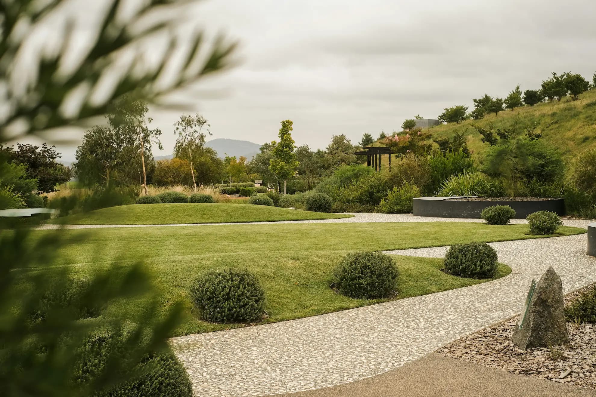 Jardin paysager aux massifs structurés