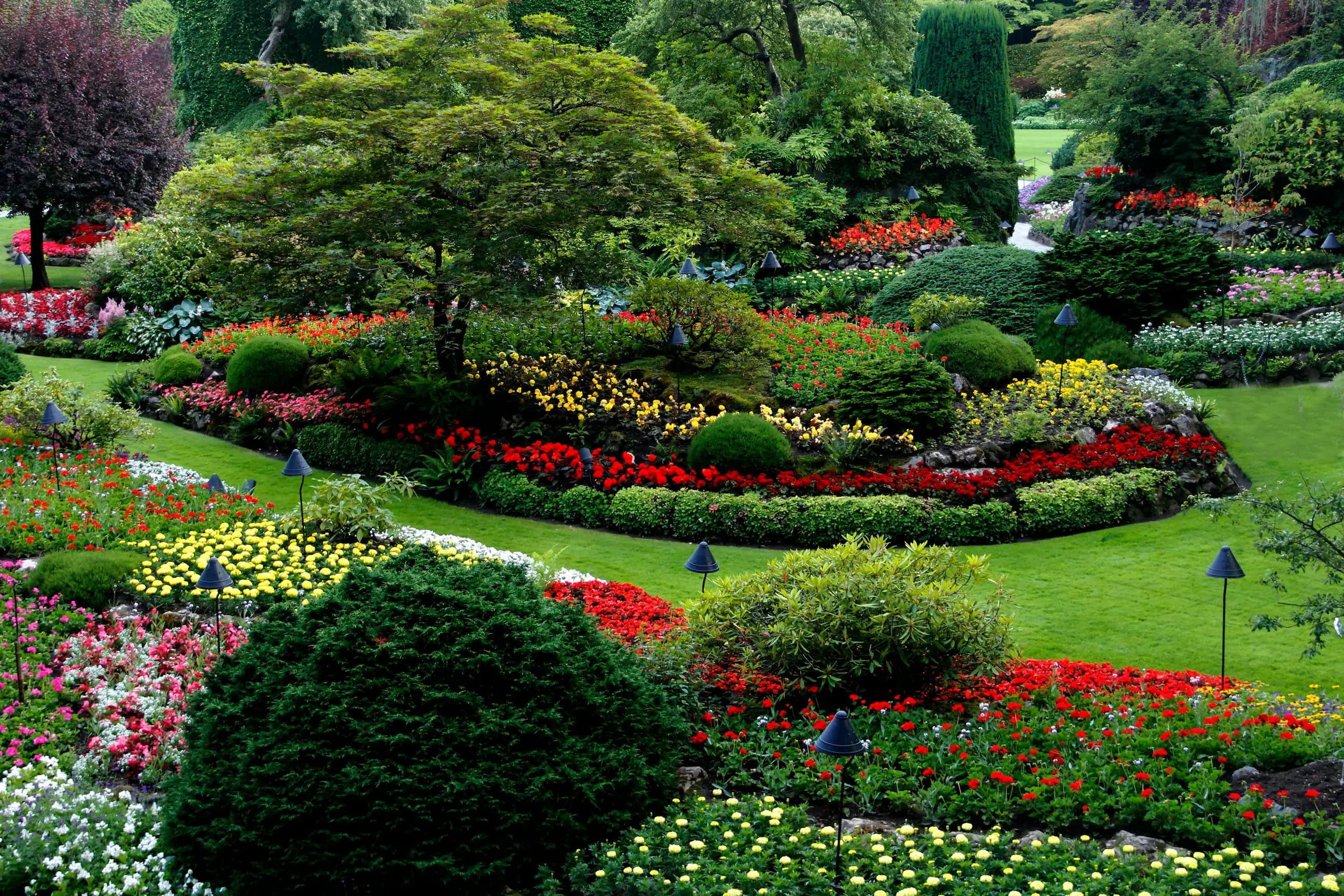Jardin paysager luxuriant avec massifs de vivaces et allée de pierre